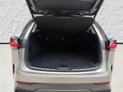 2025 Lexus NX — photo 12 view