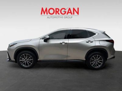 2025 Lexus NX — engine compartment view