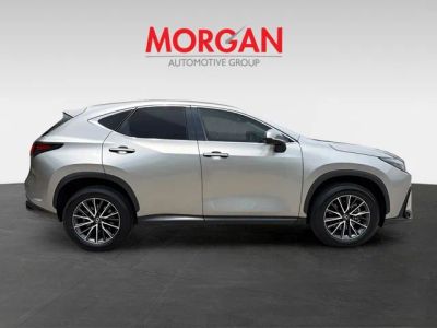 2025 Lexus NX — side profile view
