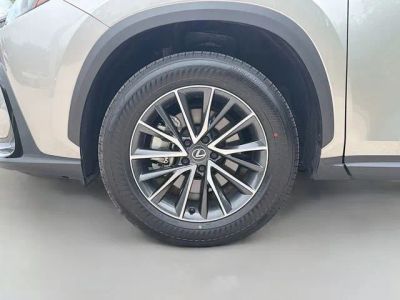 2025 Lexus NX — photo 42 view