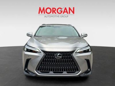 2025 Lexus NX — photo 8 view