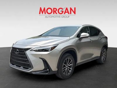 2025 Lexus NX — photo 7 view