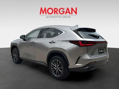2025 Lexus NX — detail view