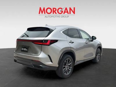 2025 Lexus NX — rear three-quarter view