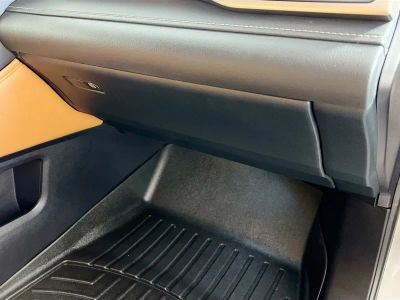 2022 Lexus RX — photo 31 view