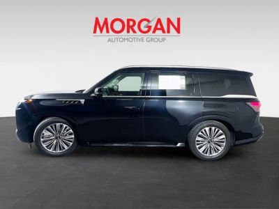 2025 INFINITI QX80 — detail view