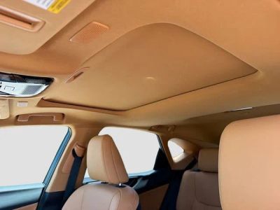 2022 Lexus NX — photo 26 view