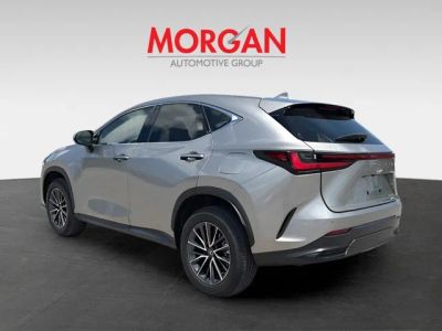 2022 Lexus NX — detail view