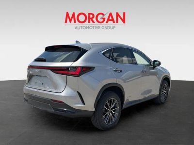 2022 Lexus NX — rear three-quarter view