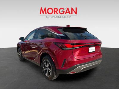 2023 Lexus RX — detail view