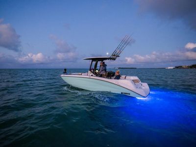 2025 Yamaha Boats 255 FSH Sport H - Photo 2