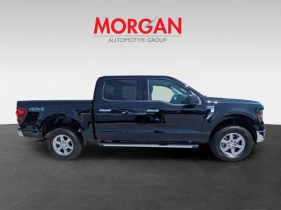 2025 Ford F-150 — side profile view