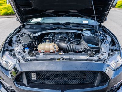 2020 Ford Mustang - Photo 23