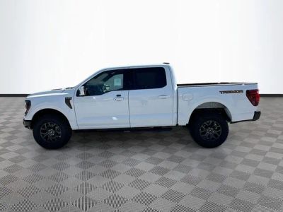 2025 Ford F-150 — rear three-quarter view