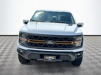 2025 Ford F-150 — side profile view