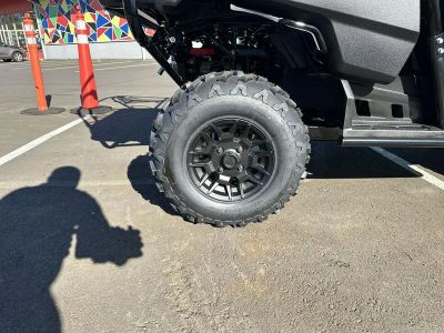 2026 Honda Pioneer 700 - Photo 10