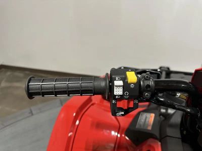 2026 Honda FourTrax Foreman Rubicon 4x4 EPS - Photo 13