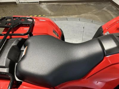 2026 Honda FourTrax Foreman Rubicon 4x4 EPS - Photo 10