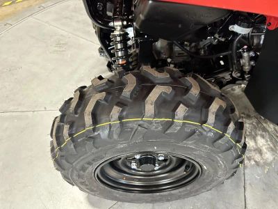 2026 Honda FourTrax Foreman Rubicon 4x4 EPS - Photo 22