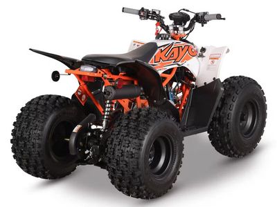 2026 Kayo Predator 125 EFI - Photo 6