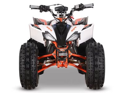 2026 Kayo Predator 125 EFI - Photo 5