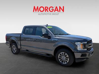 2019 Ford F-150 — side profile view