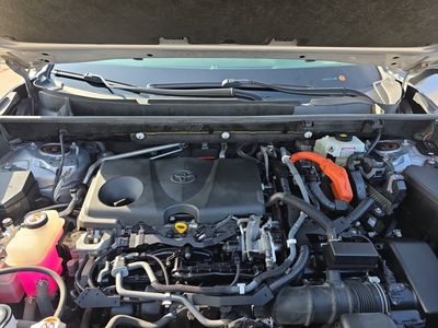 2019 Toyota RAV4 — photo 22 view