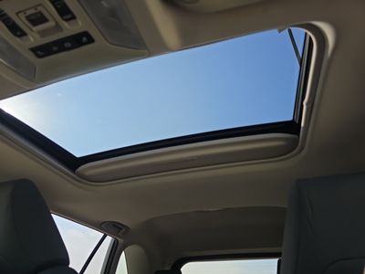 2019 Toyota RAV4 — photo 24 view