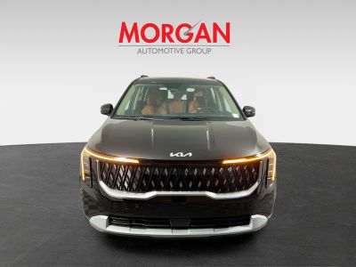 2026 Kia Carnival Hybrid — photo 10 view