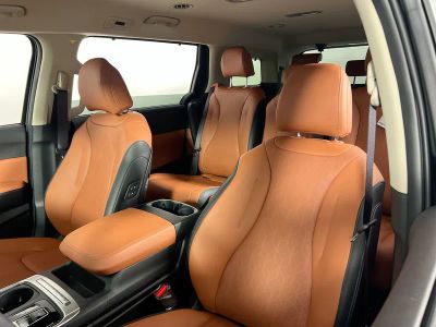 2026 Kia Carnival Hybrid — photo 14 view