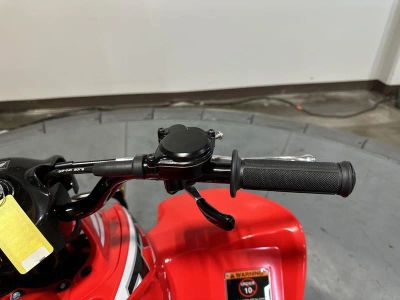 2026 Honda TRX90X - Photo 13