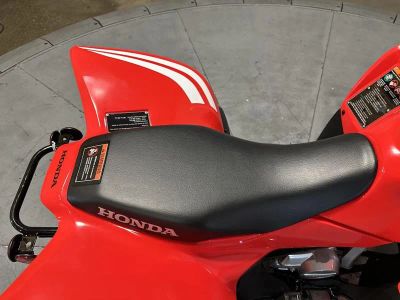 2026 Honda TRX90X - Photo 10