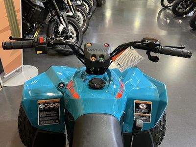 2026 Can-Am Renegade 110 EFI - Photo 6