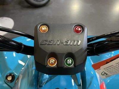 2026 Can-Am Renegade 110 EFI - Photo 9
