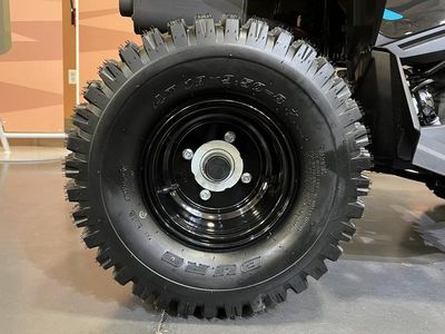 2026 Can-Am Renegade 110 EFI - Photo 14