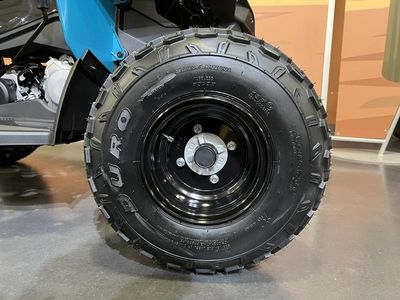 2026 Can-Am Renegade 110 EFI - Photo 11