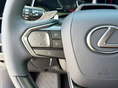 2026 Lexus RX — photo 39 view