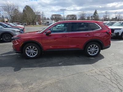 2024 Honda CR-V EX-L — detail view