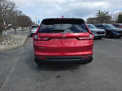 2024 Honda CR-V EX-L — photo 7 view
