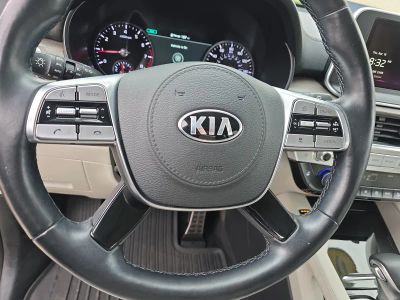 2021 Kia Telluride — photo 19 view