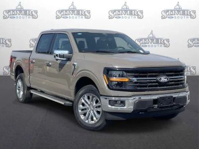 2026 Ford F-150 XLT in Gray — front three-quarter view