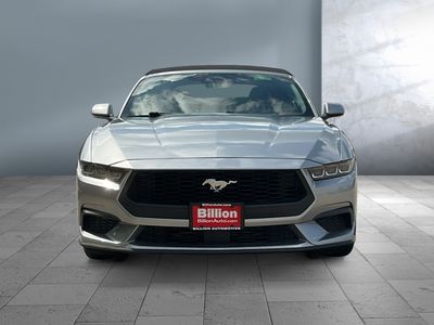 2024 Ford Mustang - Photo 2