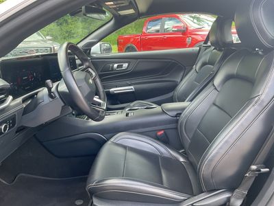 2024 Ford Mustang - Photo 10