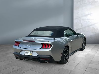 2024 Ford Mustang - Photo 4