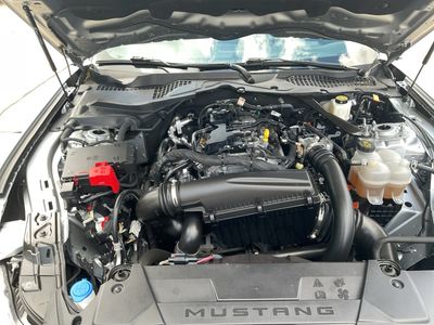 2024 Ford Mustang - Photo 11