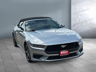 2024 Ford Mustang - Photo 1