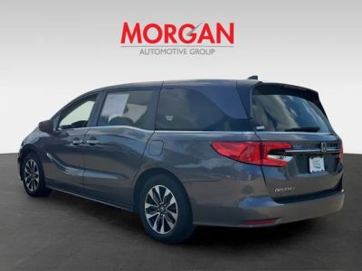 2024 Honda Odyssey — interior view