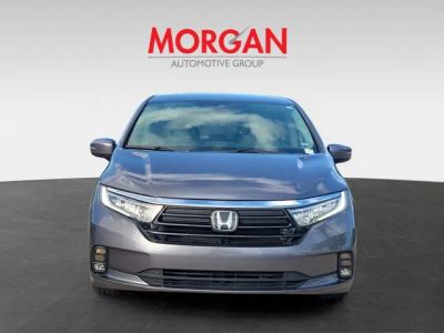 2024 Honda Odyssey — side profile view