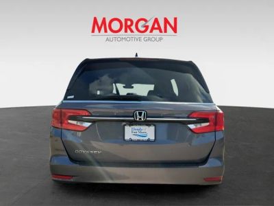 2024 Honda Odyssey — detail view