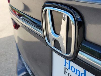 2024 Honda Odyssey — photo 11 view